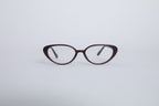 AMERICAN SHORTHAIR glasses