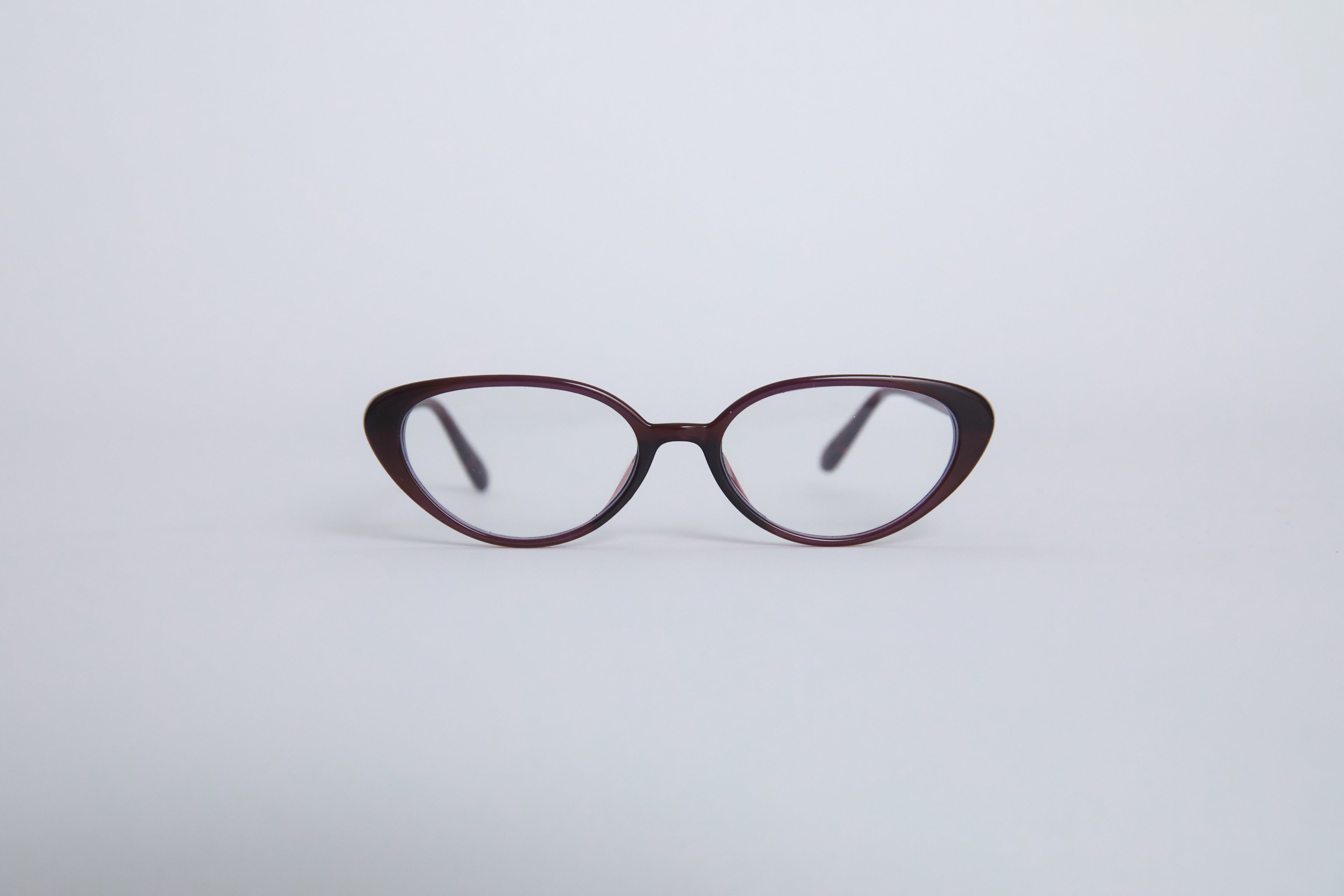 AMERICAN SHORTHAIR glasses
