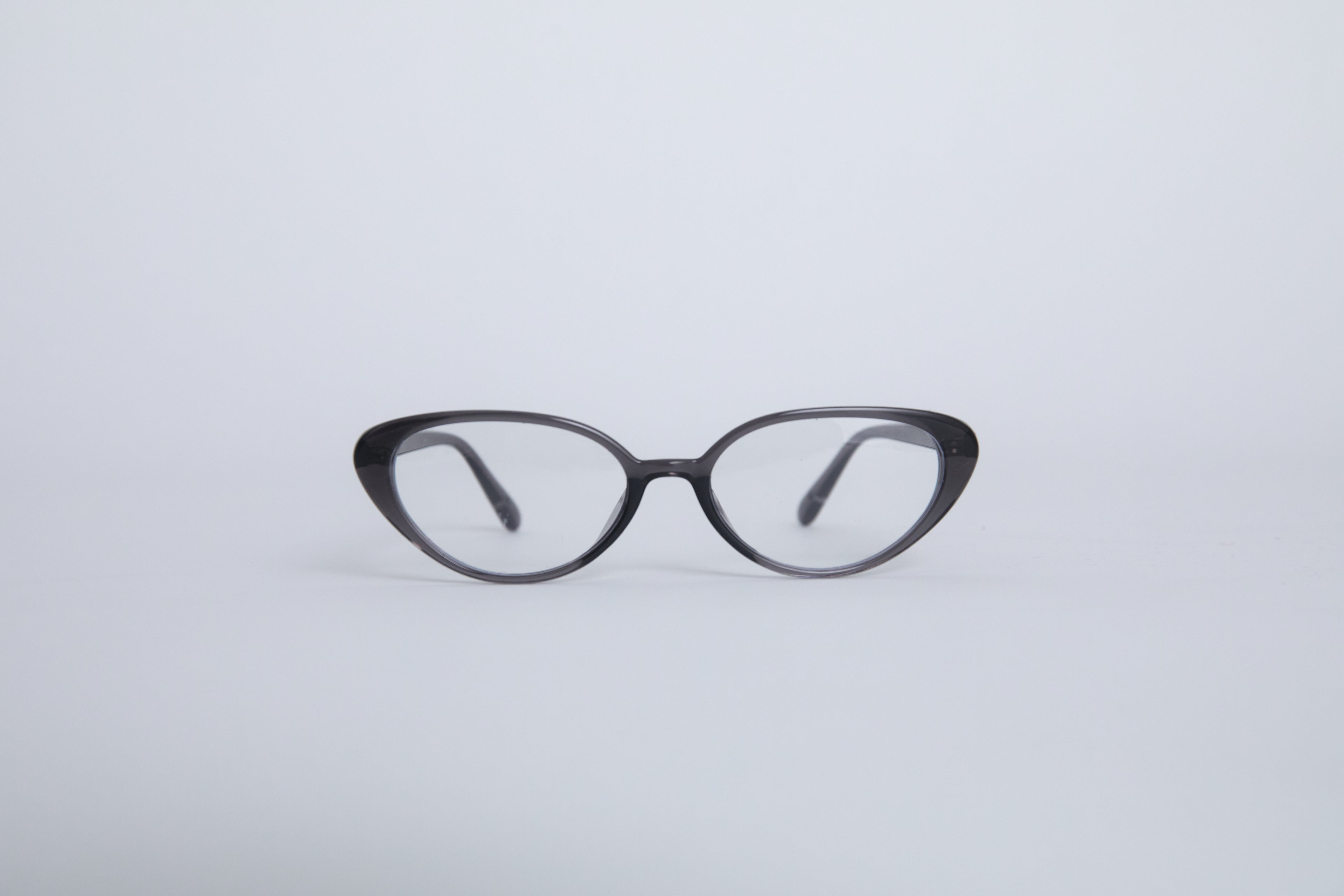 AMERICAN SHORTHAIR glasses