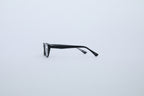 SIAMESE glasses