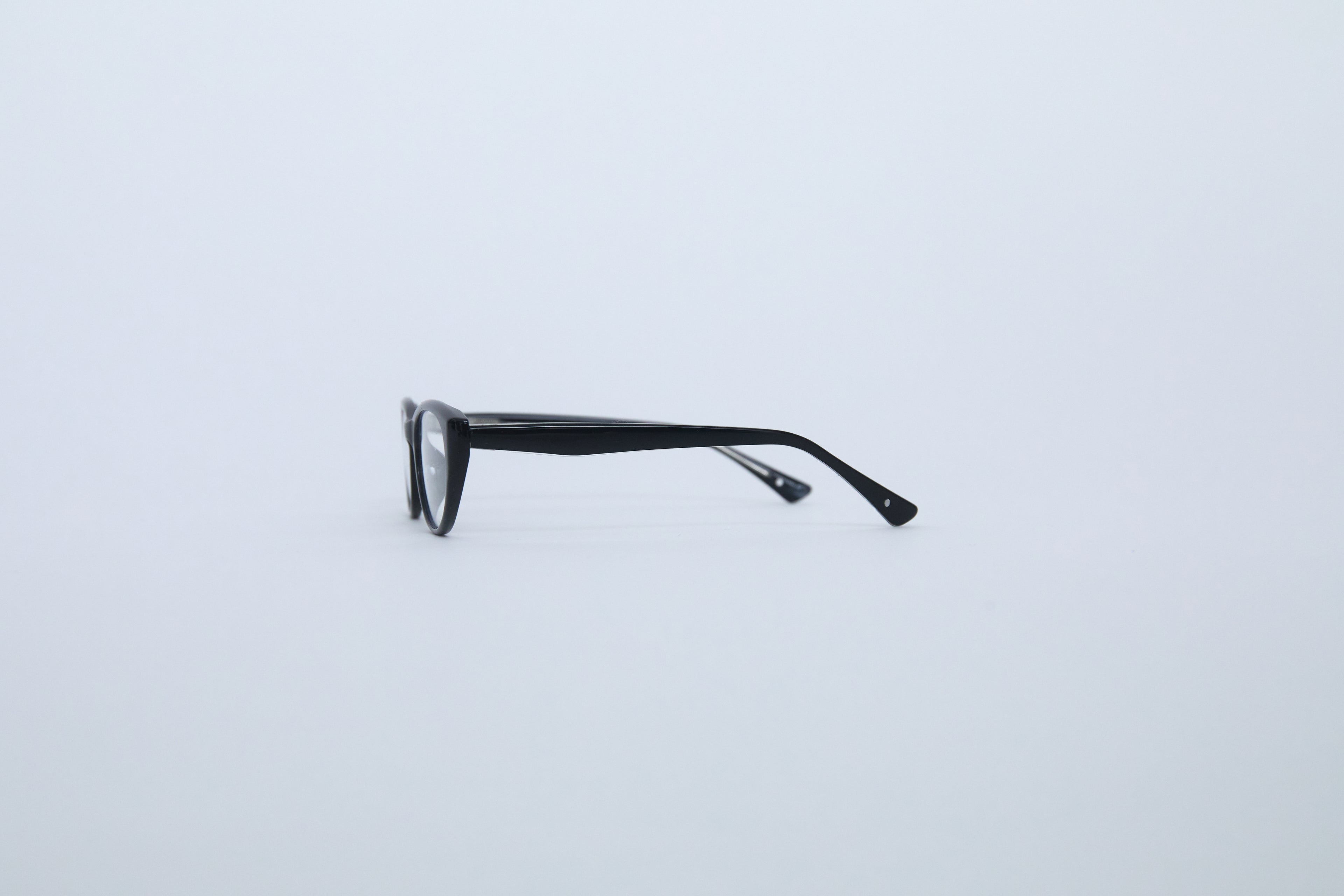 SIAMESE glasses