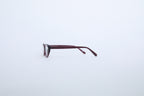 AMERICAN SHORTHAIR glasses