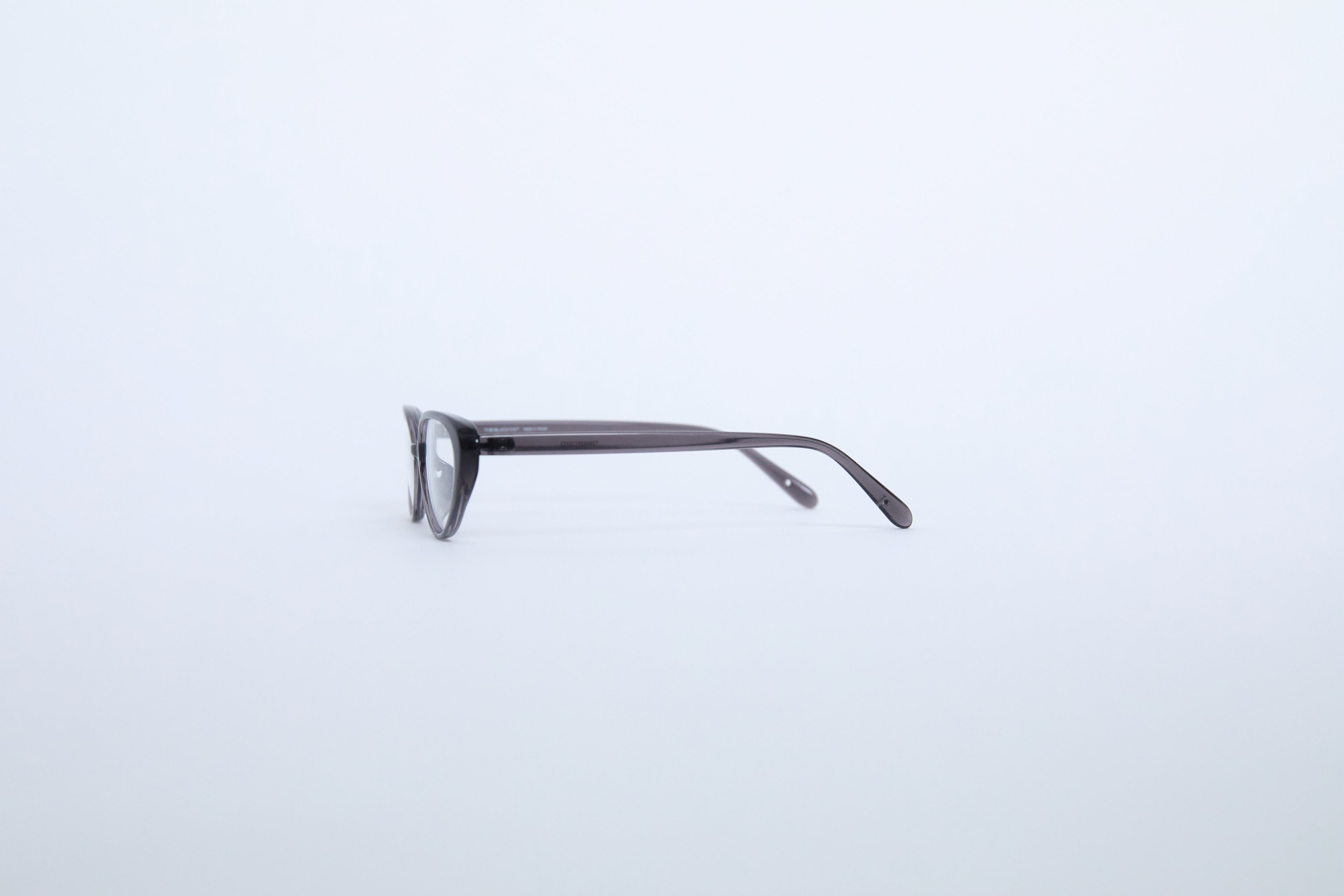 AMERICAN SHORTHAIR glasses