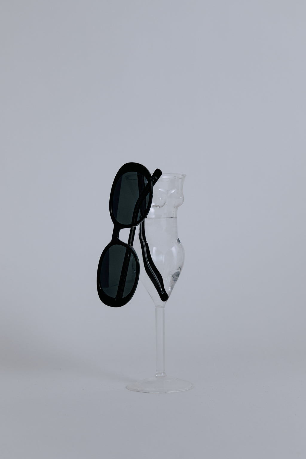 SCOTTISH FOLD sunglasses