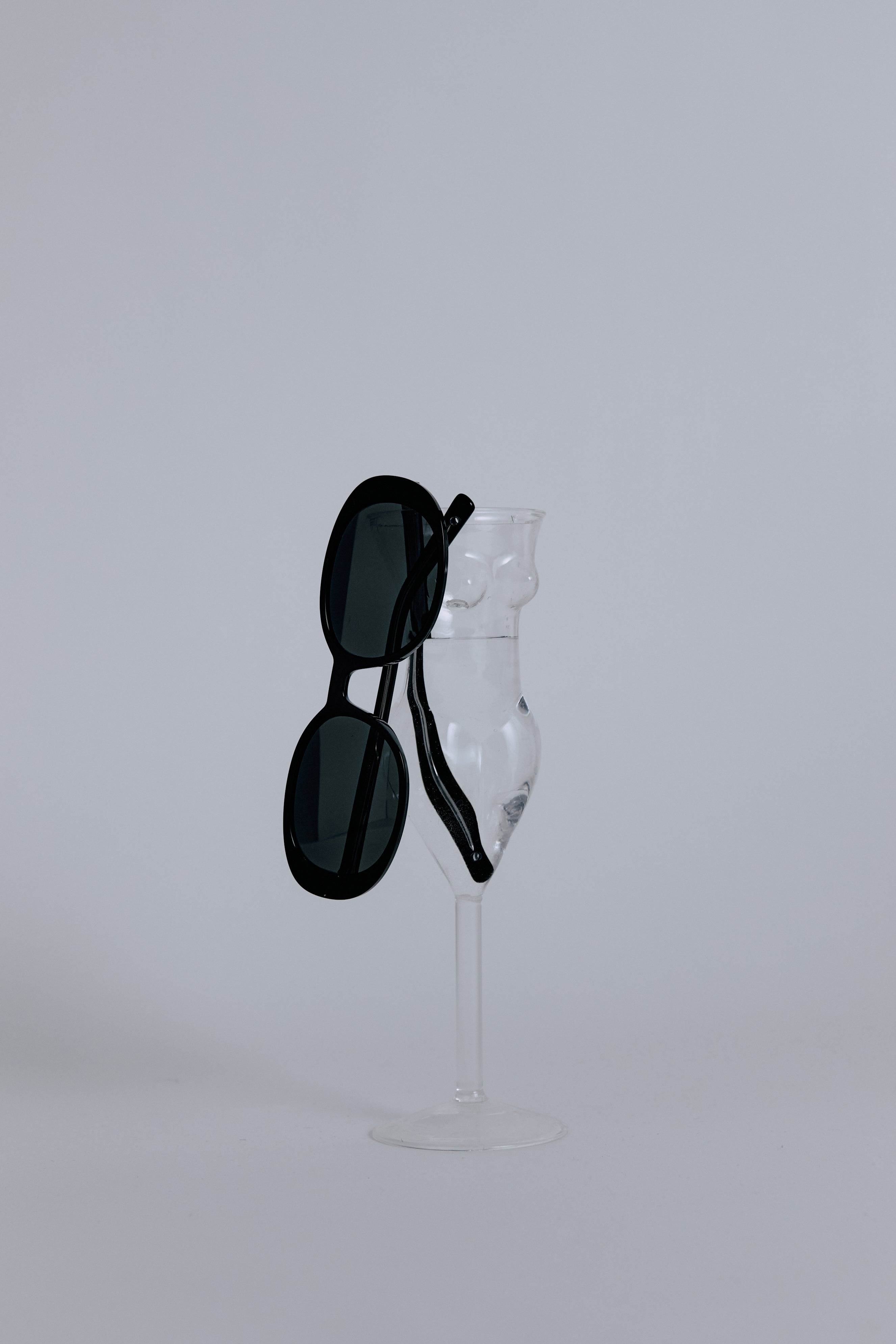 SCOTTISH FOLD sunglasses