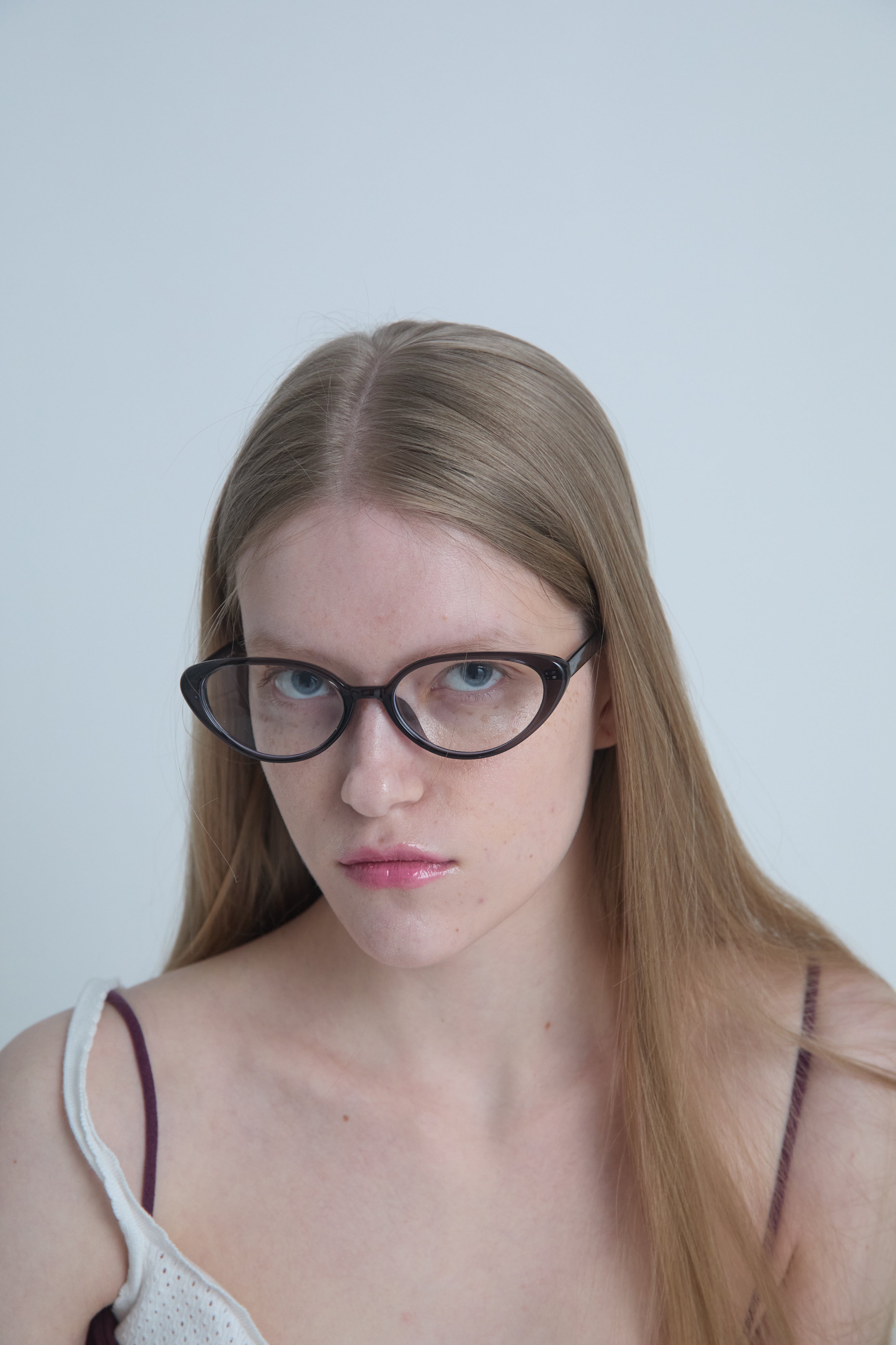 AMERICAN SHORTHAIR glasses