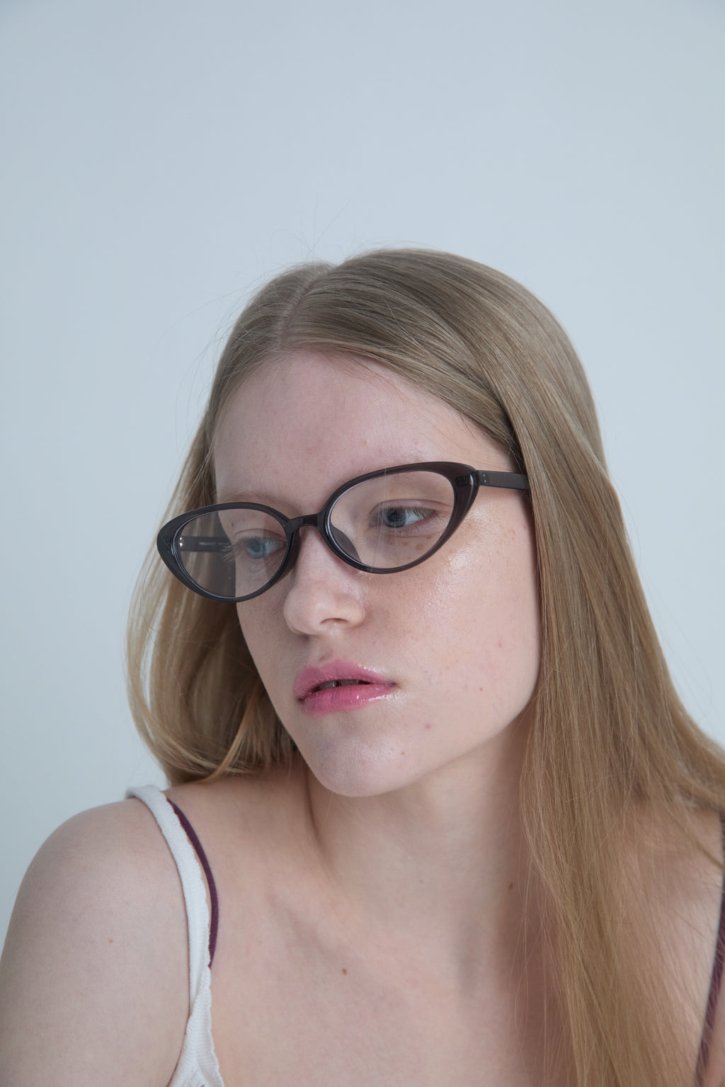 AMERICAN SHORTHAIR glasses