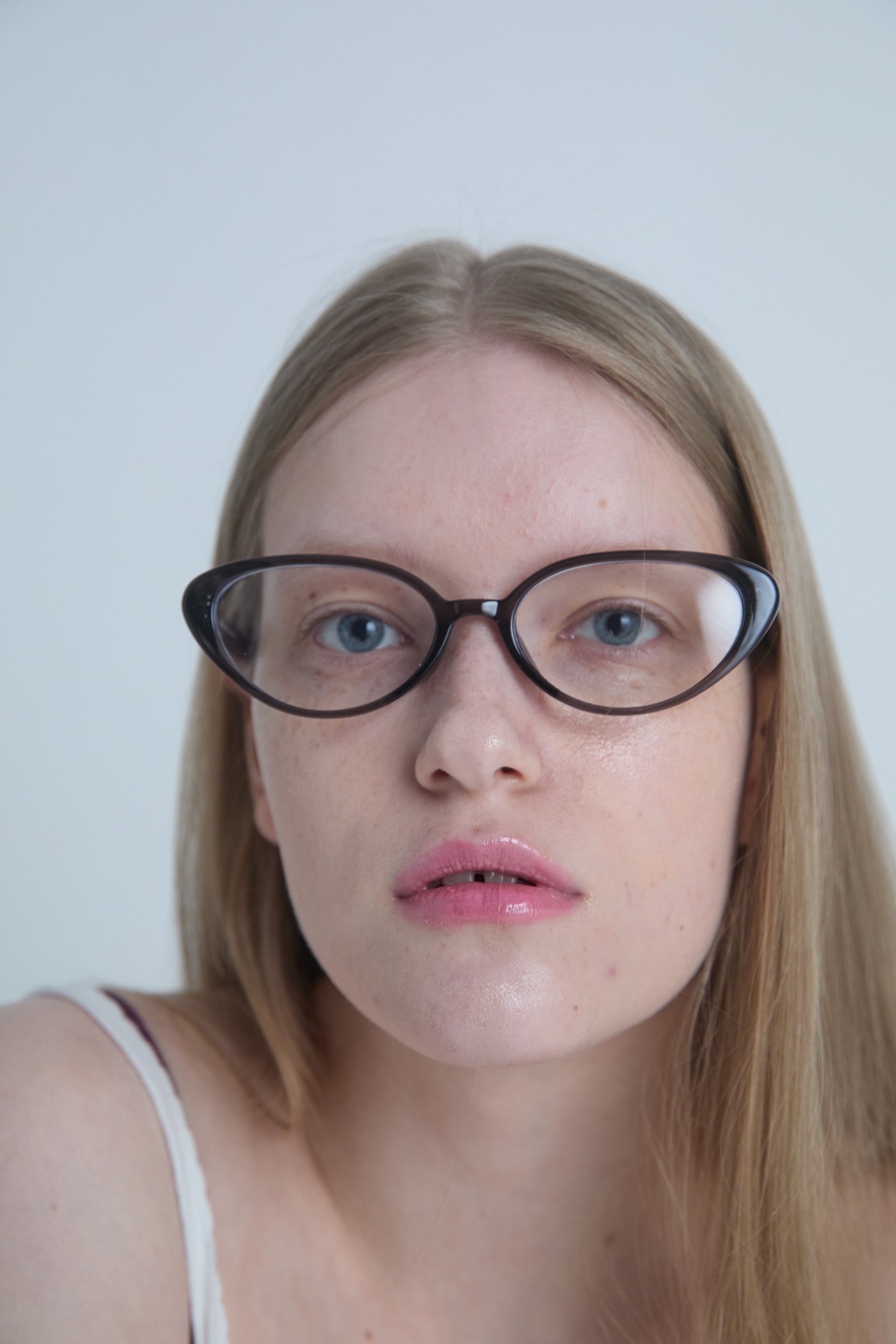 AMERICAN SHORTHAIR glasses