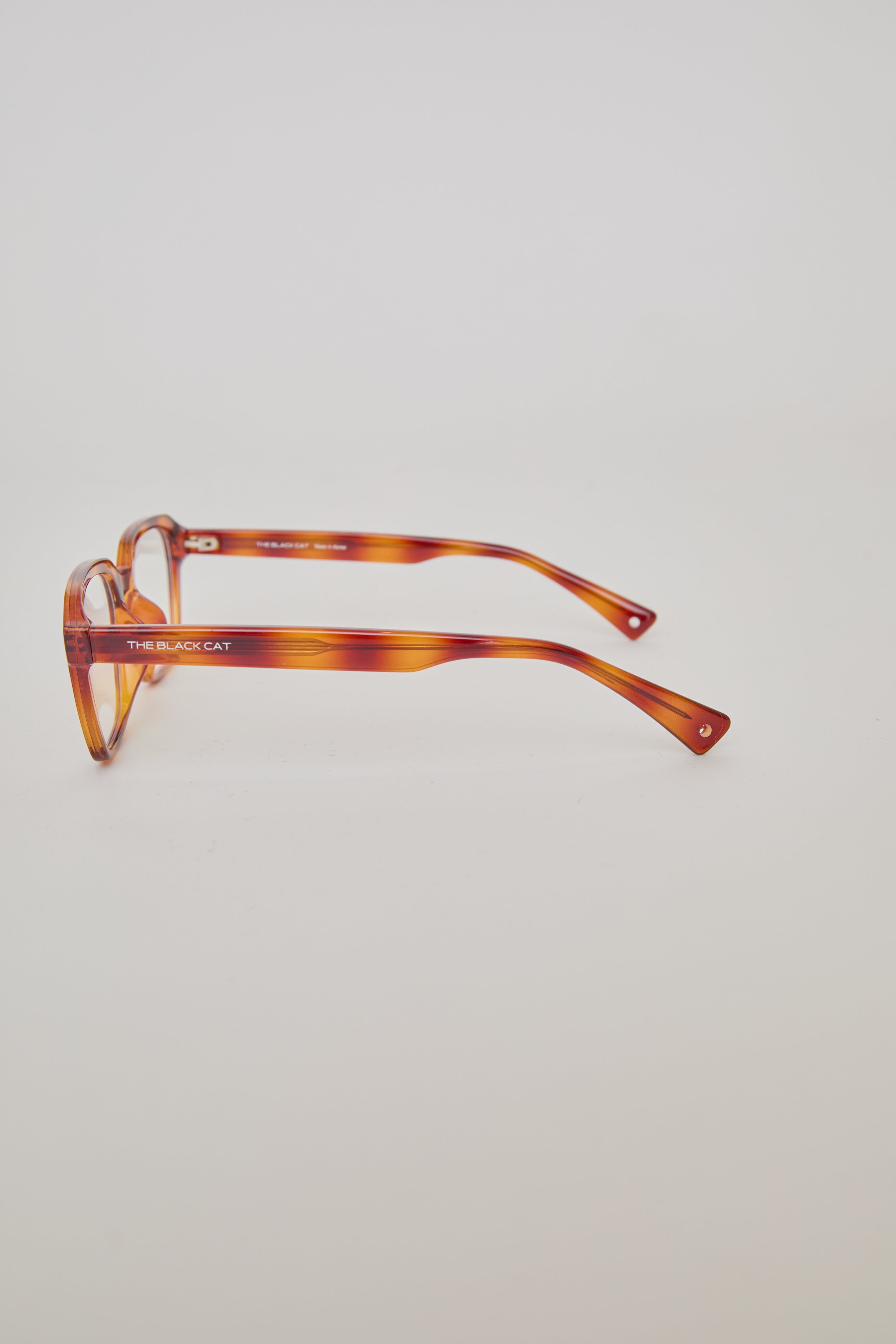 MAINE COON glasses