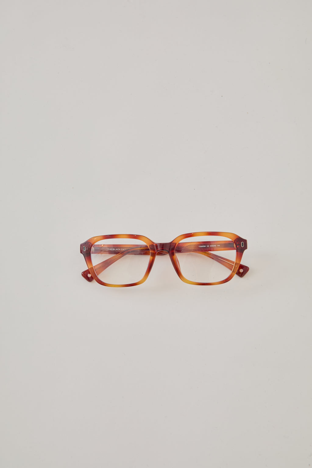 MAINE COON glasses