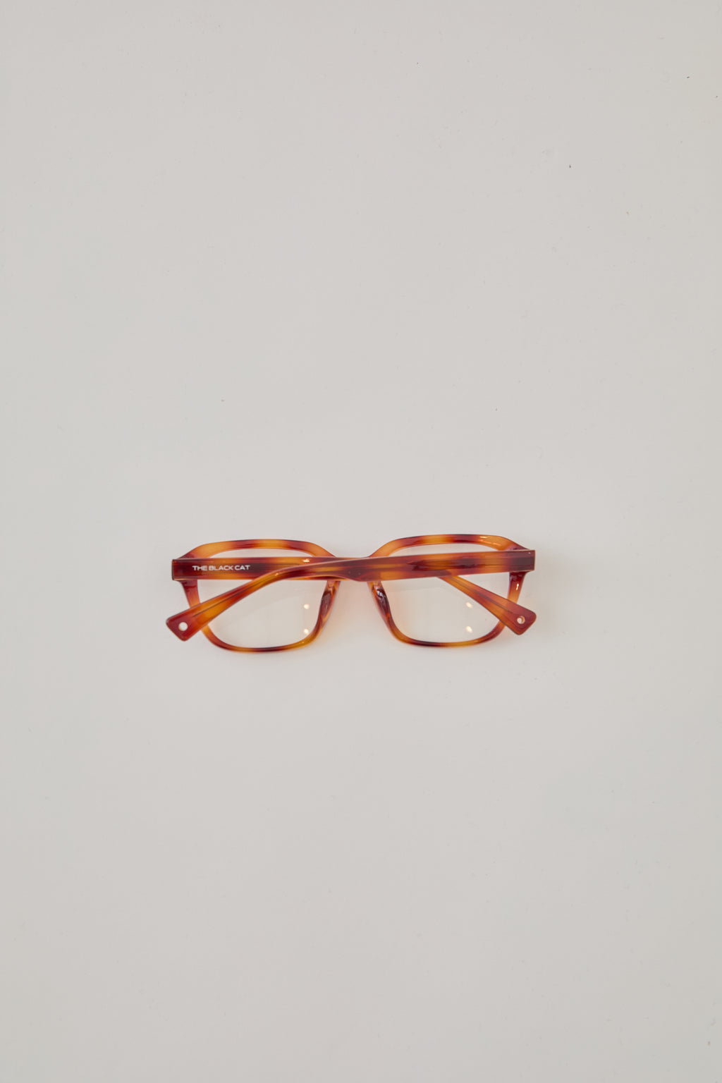 MAINE COON glasses