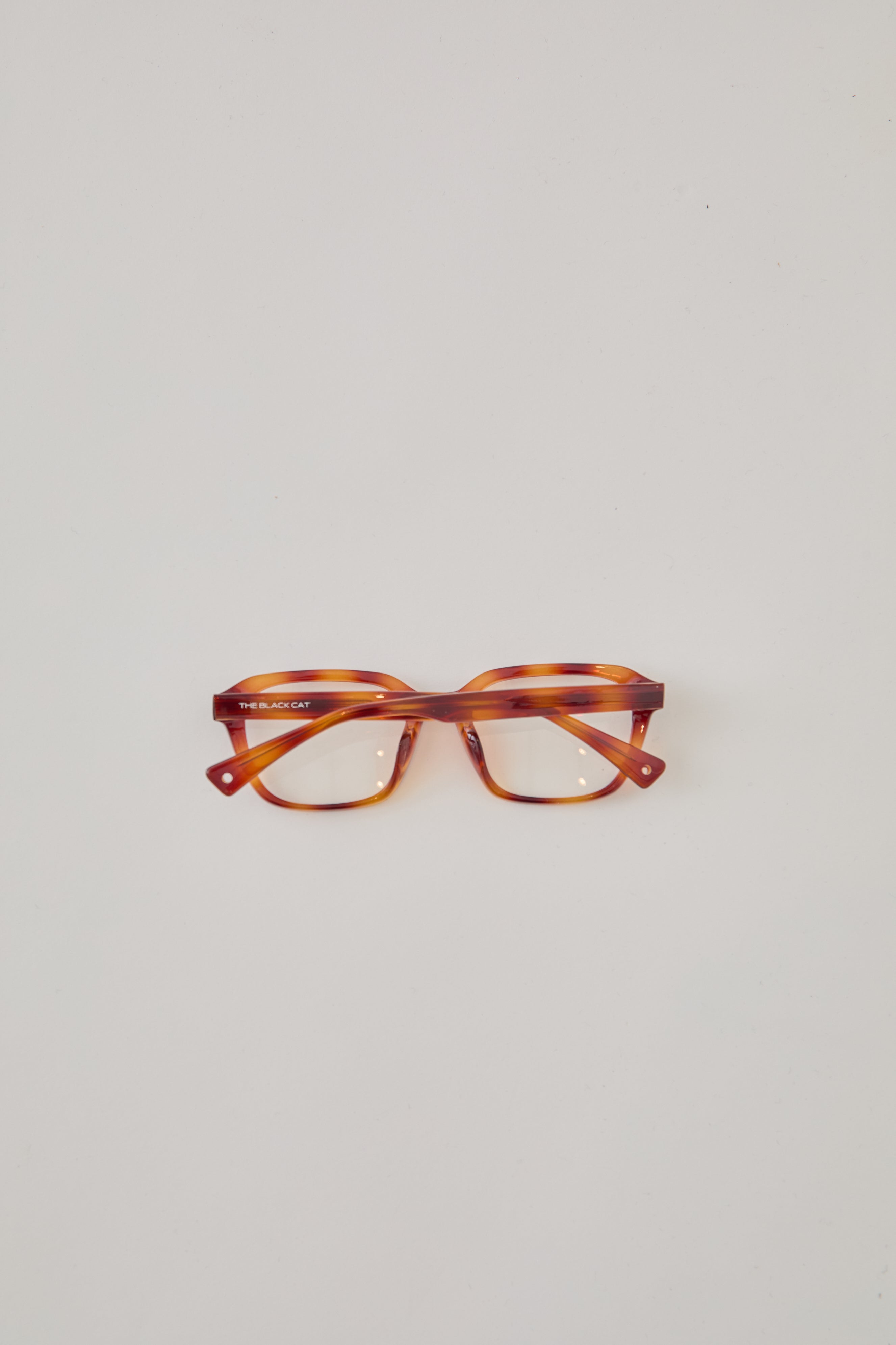 MAINE COON glasses