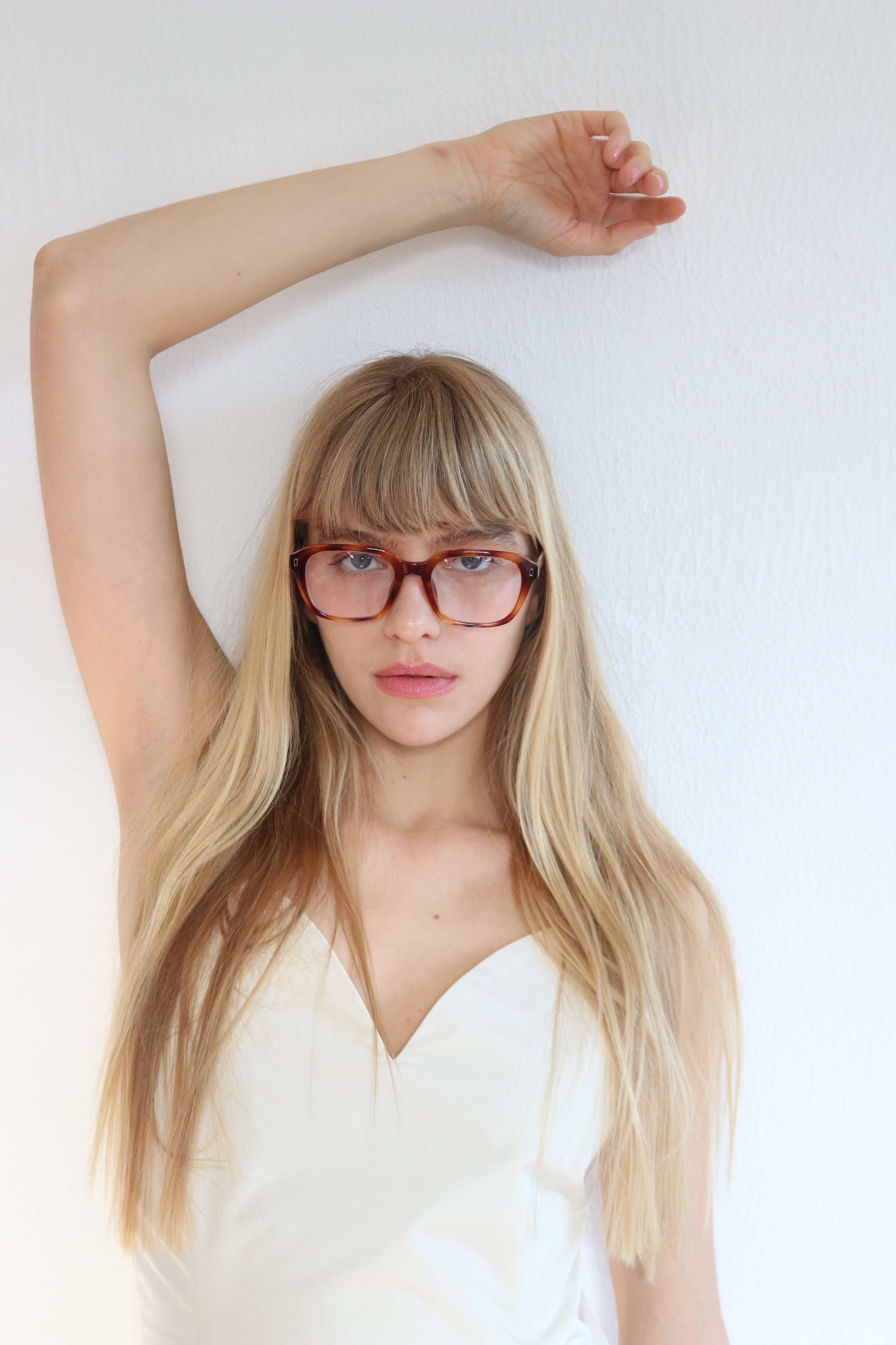 MAINE COON glasses