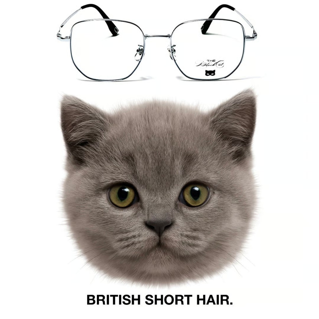 BRITISH SHORT HAIR glasses