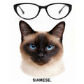 SIAMESE glasses