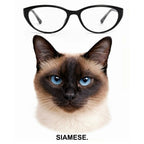 SIAMESE glasses