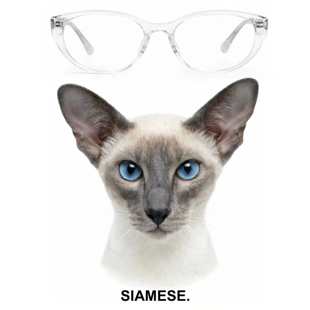 SIAMESE glasses