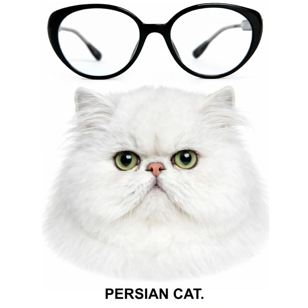 PERSIAN CAT glasses