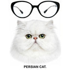 PERSIAN CAT glasses