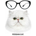 PERSIAN CAT glasses