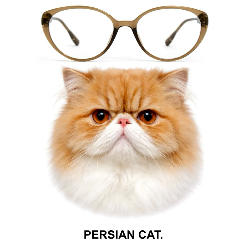 PERSIAN CAT glasses