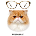 PERSIAN CAT glasses