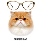 PERSIAN CAT glasses