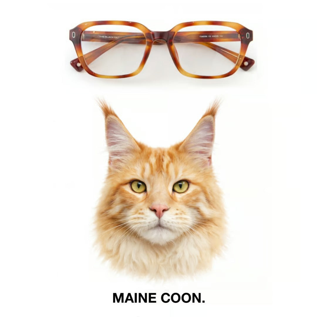 MAINE COON glasses