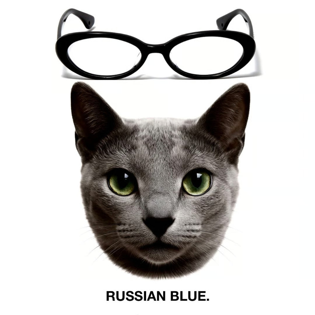RUSSIAN BLUE glasses