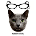 RUSSIAN BLUE glasses