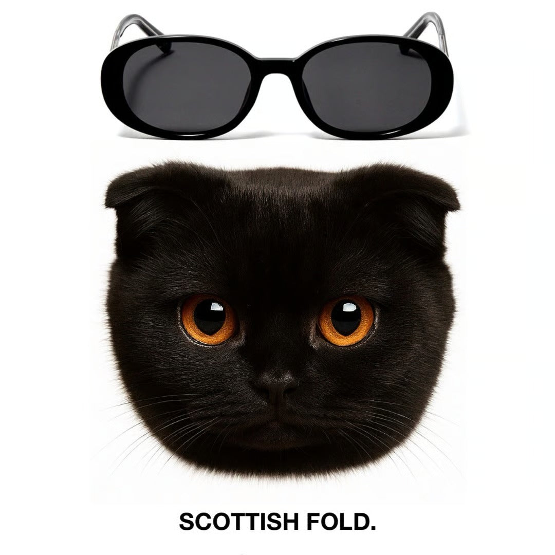 The Black Cat