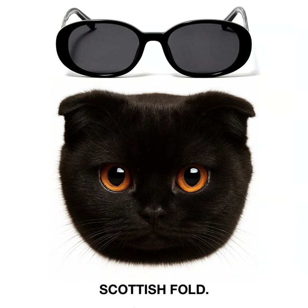 SCOTTISH FOLD sunglasses