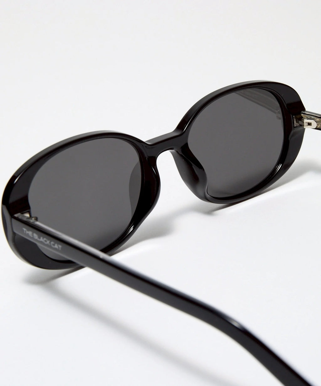 SCOTTISH FOLD sunglasses