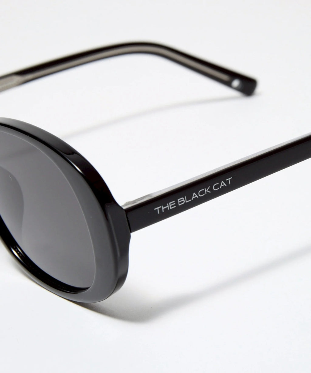 SCOTTISH FOLD sunglasses
