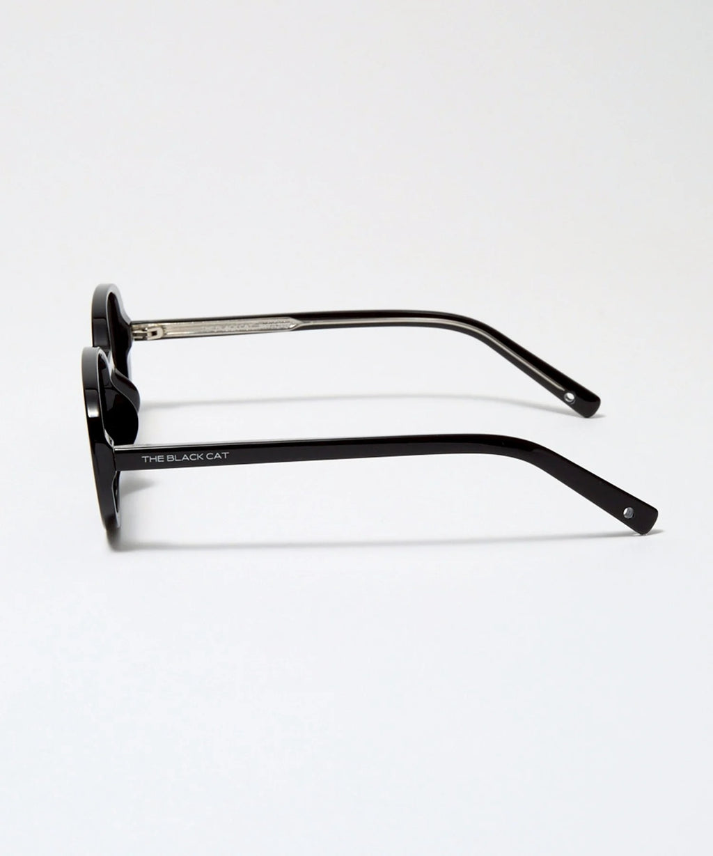 SCOTTISH FOLD sunglasses