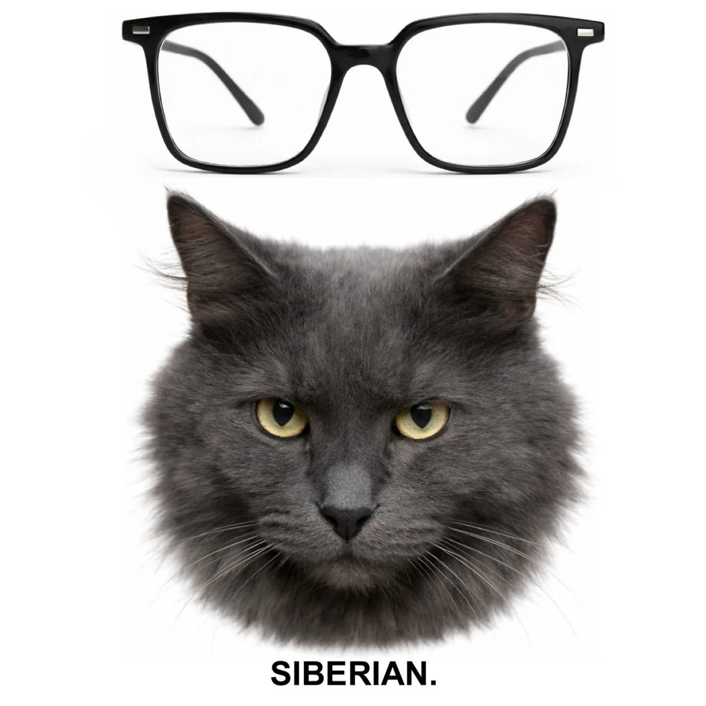 SIBERIAN glasses