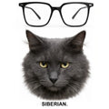 SIBERIAN glasses