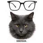 SIBERIAN glasses