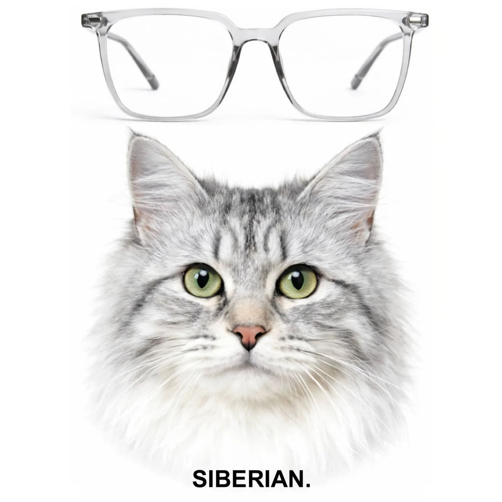 SIBERIAN glasses