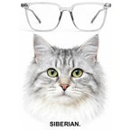 SIBERIAN glasses