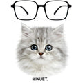 MINUET glasses