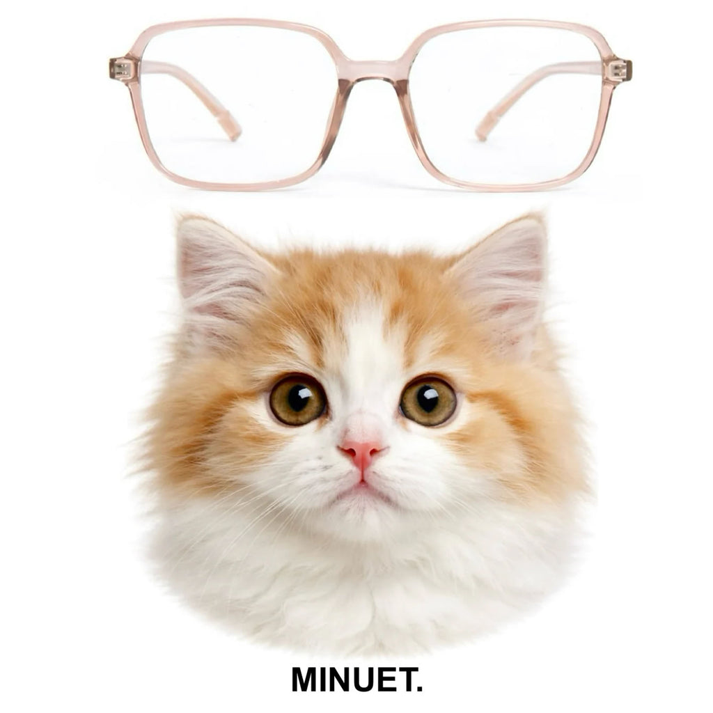 MINUET glasses