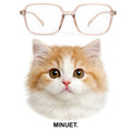 MINUET glasses