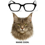 MAINE COON glasses