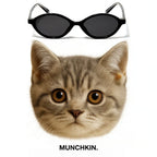 MUNCHKIN sunglasses