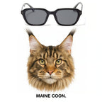 MAINE COON sunglasses