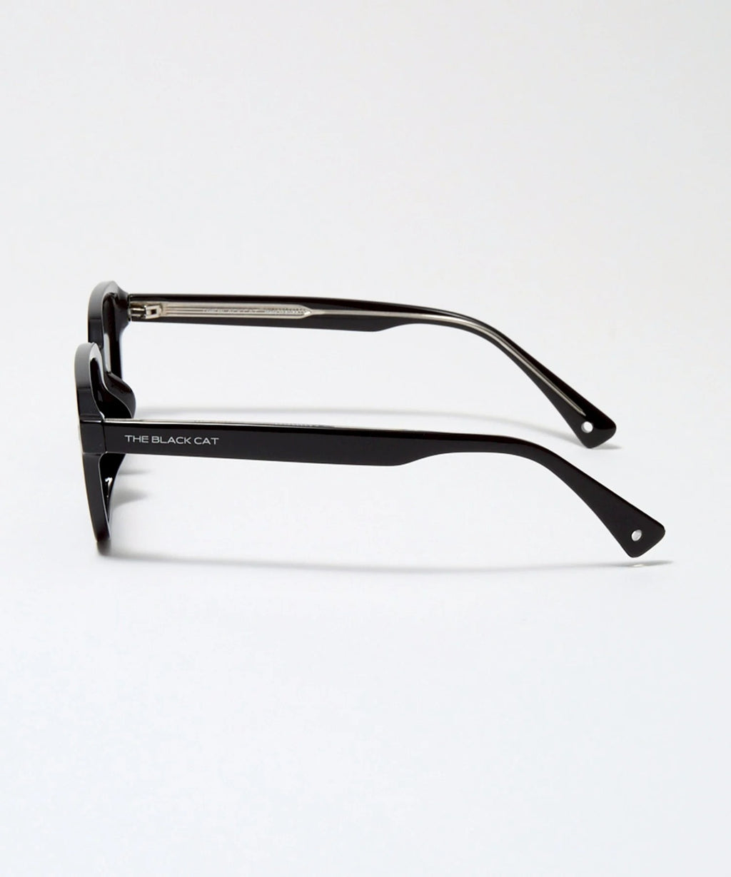 MAINE COON sunglasses