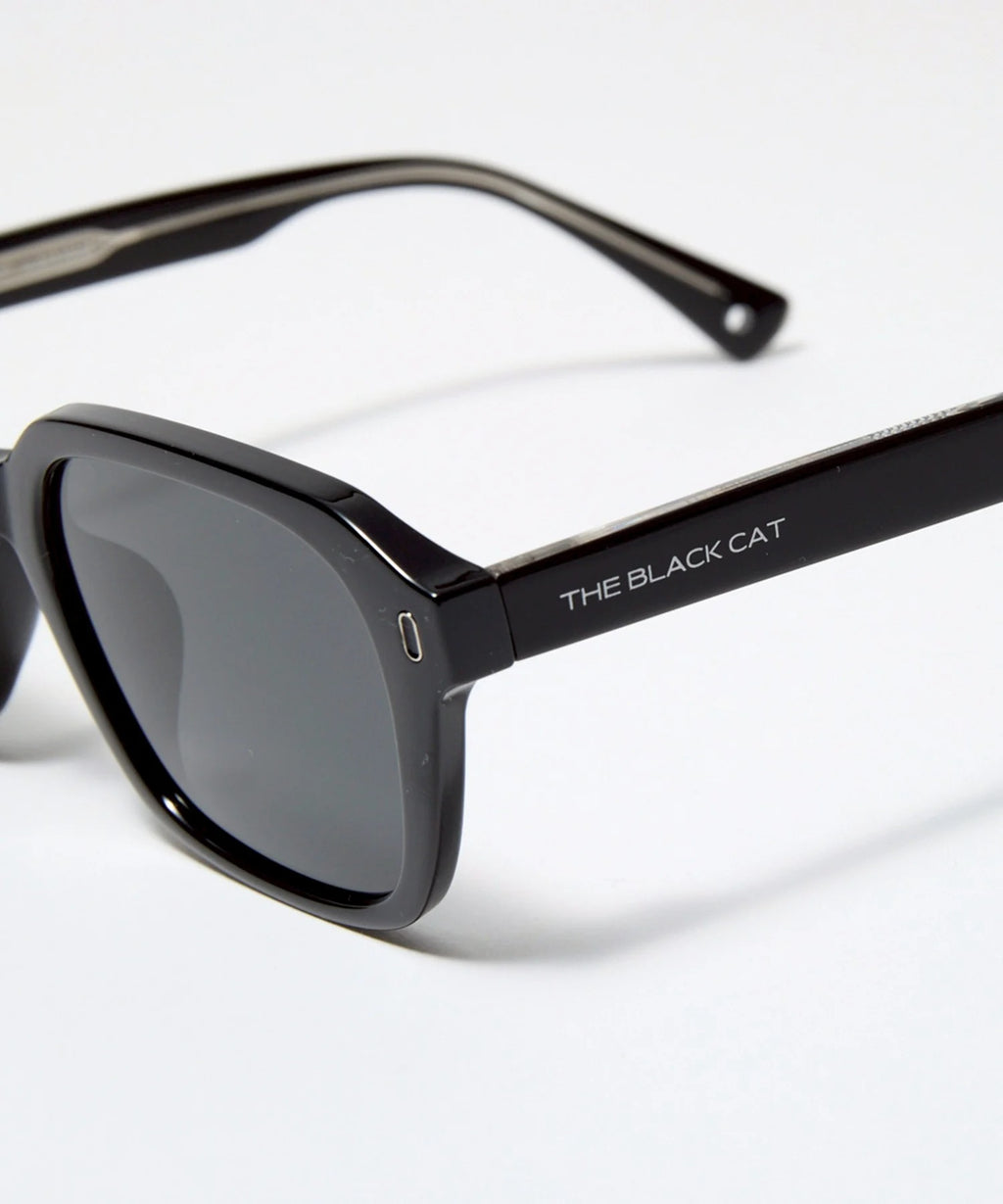 MAINE COON sunglasses