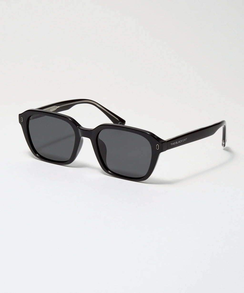 MAINE COON sunglasses