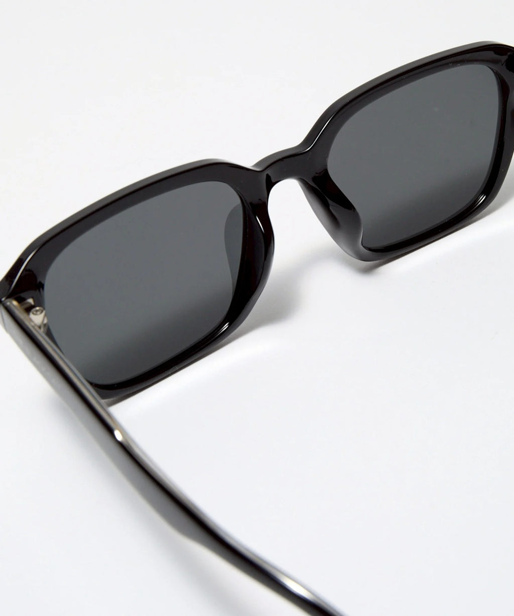 MAINE COON sunglasses